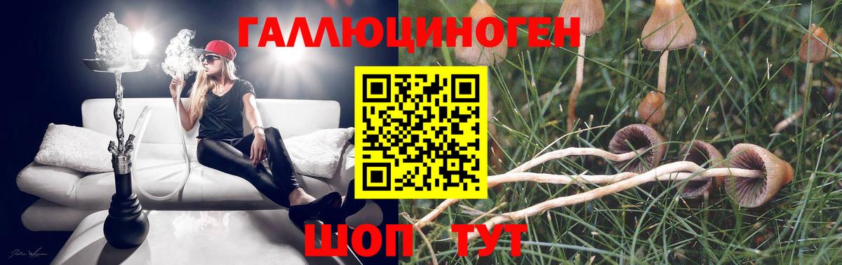купить   Псилоцибиновые грибы прущие грибы  Вход с VPN  Псилоцибиновые грибы мицелий  Киров 