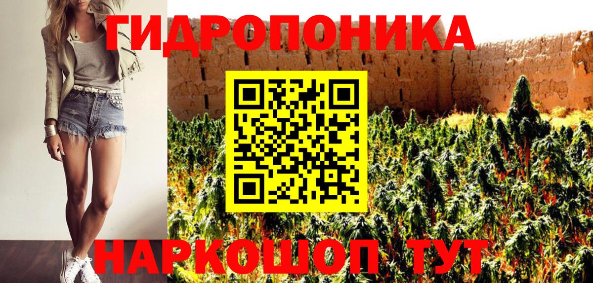 Бошки марихуана VHQ Киров